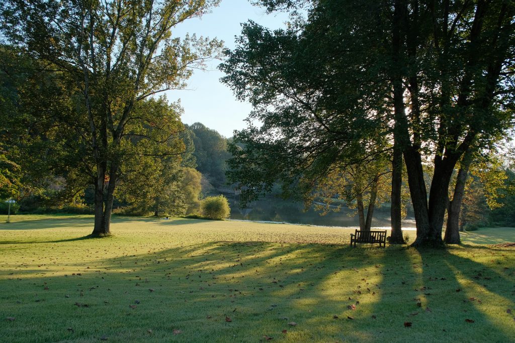 Bank unter Bäumen in ruhiger Landschaft am Obermain