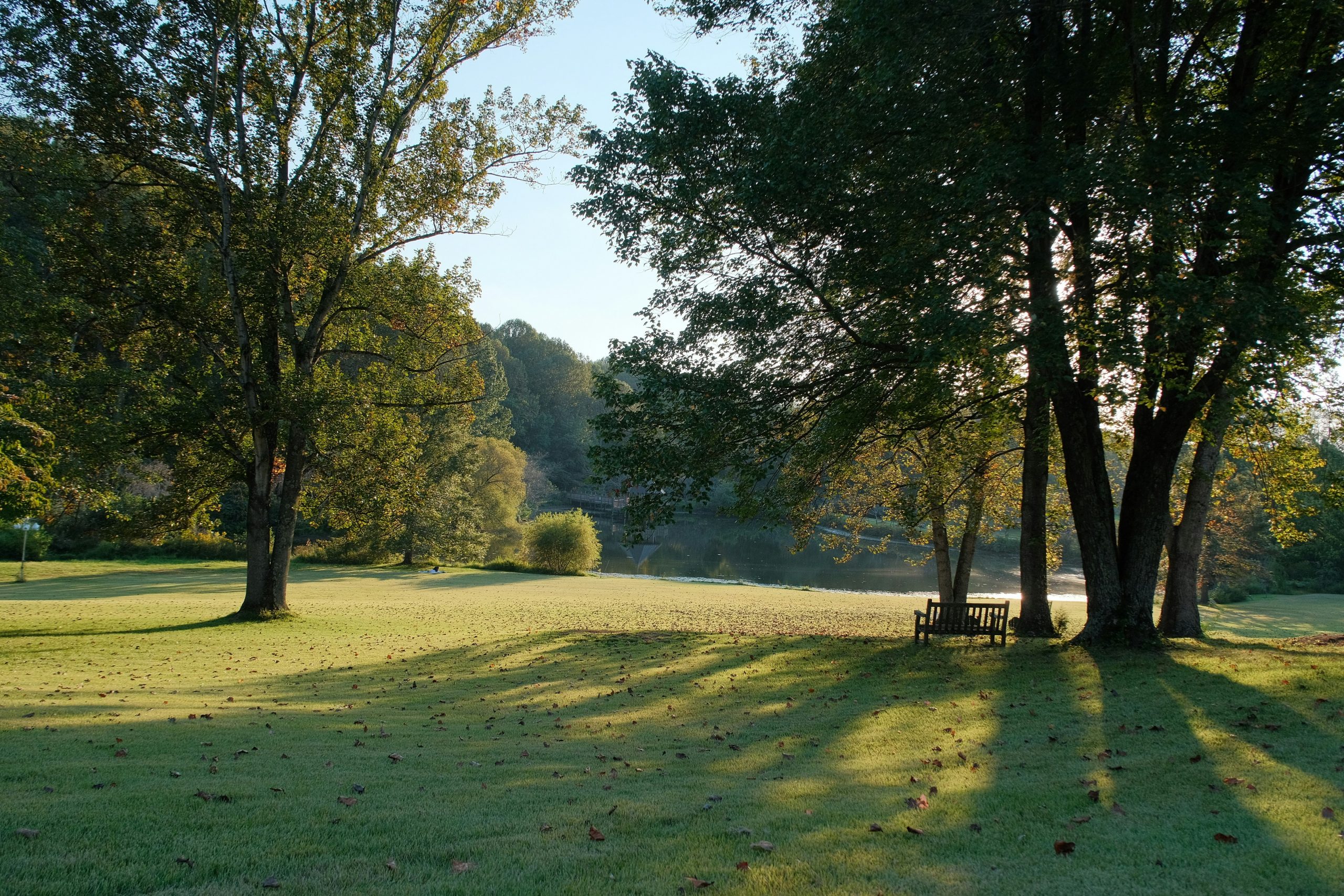 Bank unter Bäumen in ruhiger Landschaft am Obermain