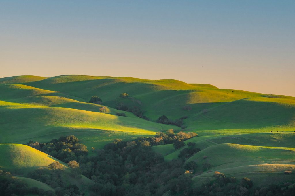 Sanfte Hügellandschaft im Abendlicht mit klar erkennbaren Formen und Linien, die die natürliche Struktur der Landschaft sichtbar machen