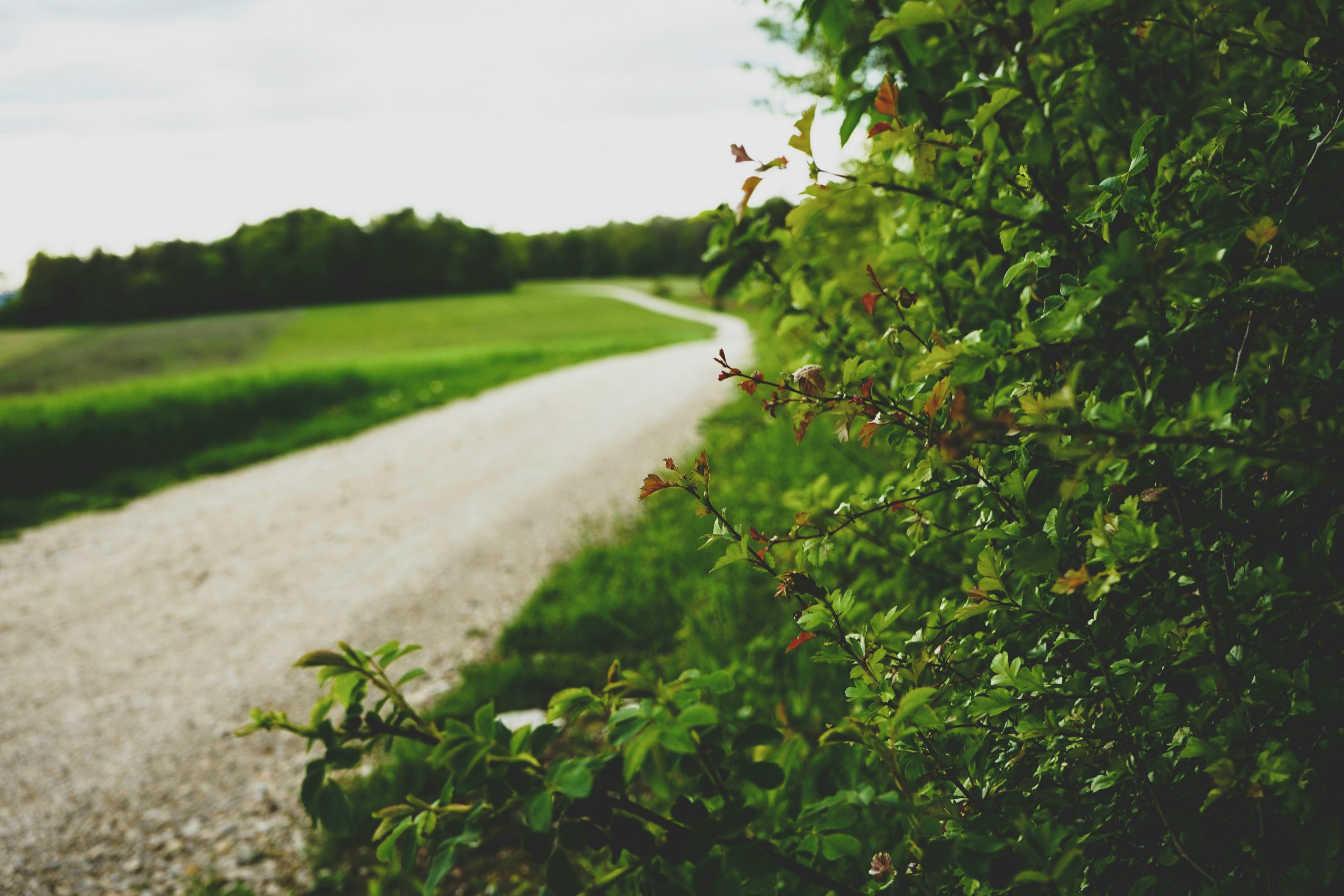 Geschwungener Wanderweg durch die fränkische Landschaft am Obermain