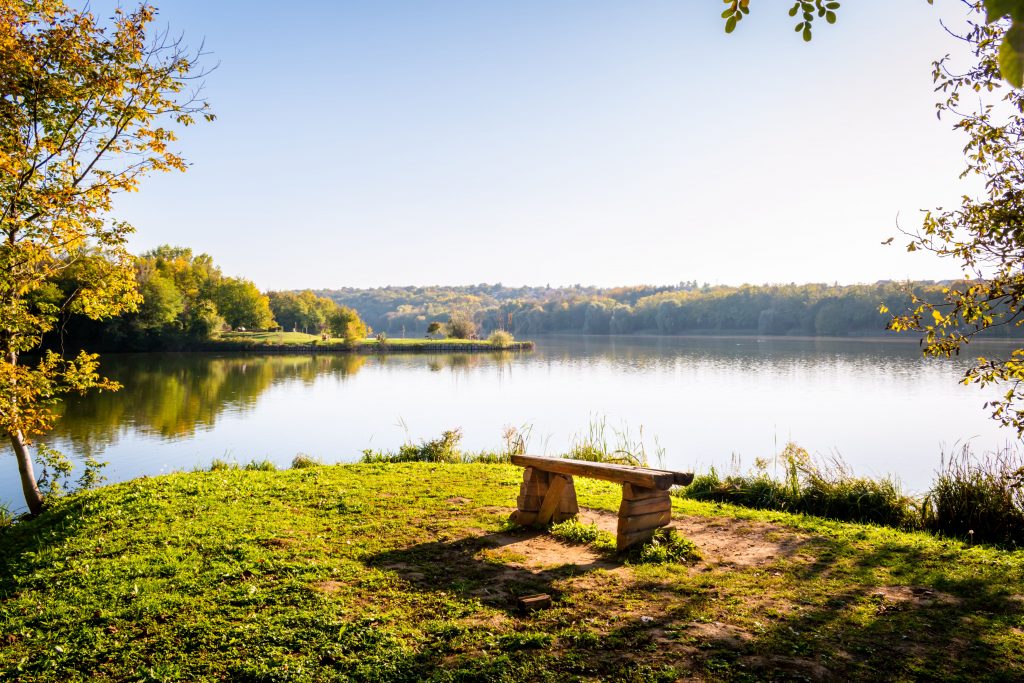Bank am Mainufer im Sommer mit Blick über das ruhige WasserBank am Mainufer im Sommer mit Blick über das ruhige Wasser