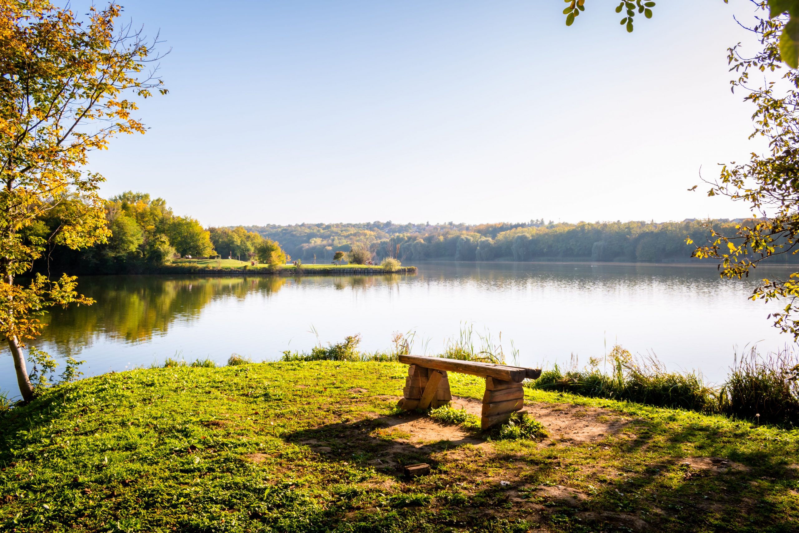 Bank am Mainufer im Sommer mit Blick über das ruhige WasserBank am Mainufer im Sommer mit Blick über das ruhige Wasser